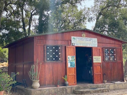 Photo from customer review