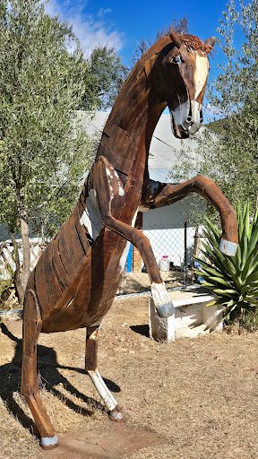 Photo from customer review