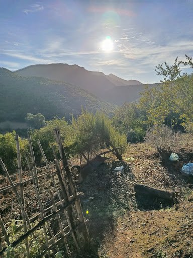 Photo from customer review