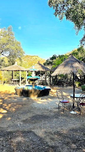 Photo from customer review