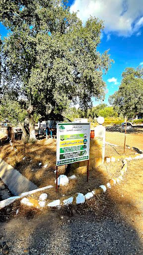 Photo from customer review