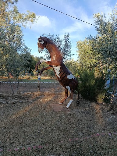 Photo from customer review