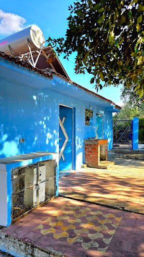 Photo from customer review