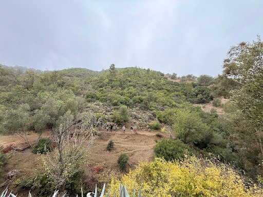 Photo from customer review